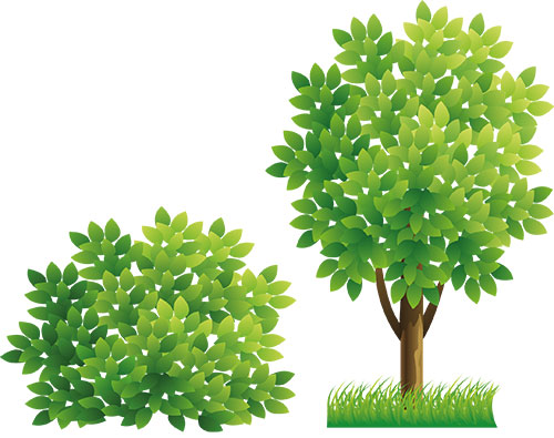 Baum- und Strauchabfuhr 2015